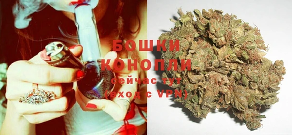 стафф Белокуриха