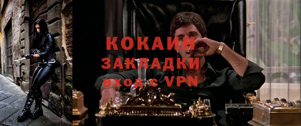 ПСИЛОЦИБИНОВЫЕ ГРИБЫ Белоозёрский
