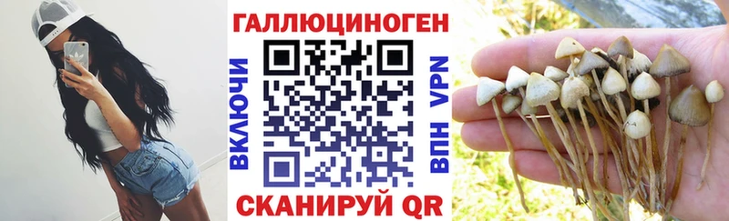 Псилоцибиновые грибы MAGIC MUSHROOMS Володарск